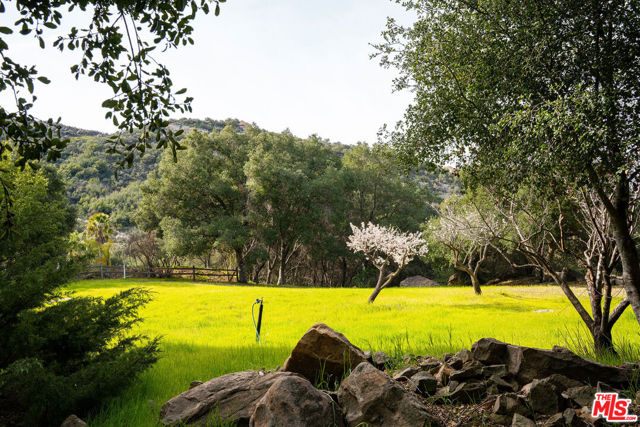 25834 Piuma Road photo 6