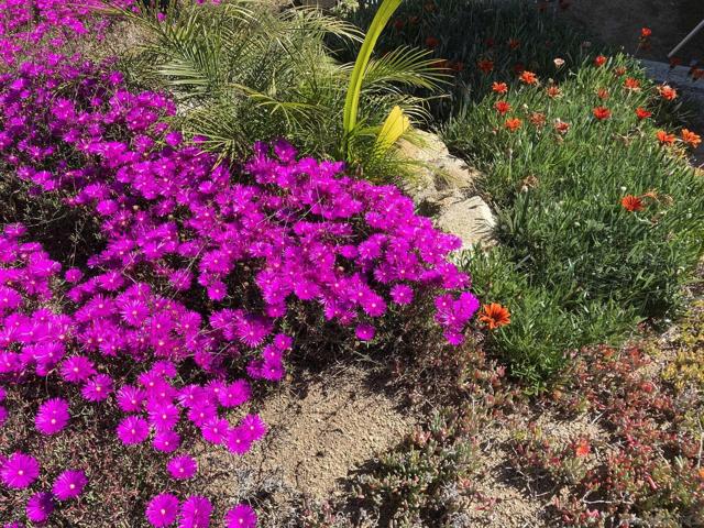 1088 Deer Springs Rd, San Marcos CA: https://media.crmls.org/mediaz/cea33c97-a403-4d30-a613-b00fd7acd479.jpg