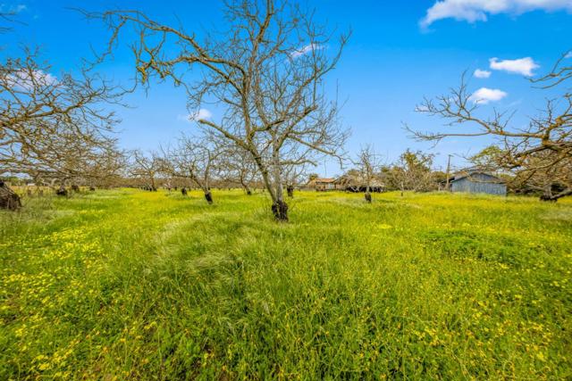 13755 Columbet Avenue, San Martin CA: https://media.crmls.org/mediaz/ceb38f73-d77e-4d3e-852c-9de37ec0cc56.jpg