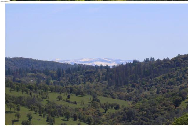 16551 Wards Ferry Rd, Sonora CA: https://media.crmls.org/mediaz/ced04cdb-89f4-4643-aee7-1f0e7aeea789.jpg