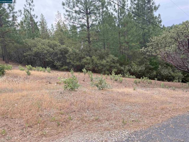 4227 Meadow View Rd, Murphys CA: https://media.crmls.org/mediaz/ced0834b-9292-496c-9828-a5babce6fcd8.jpg
