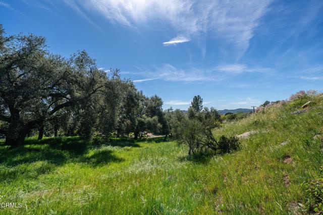 Detail Gallery Image 10 of 45 For 4700 Rising Hill Rd, Altadena,  CA 91001 - – Beds | – Baths