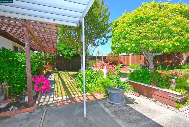 1524 Martindale Dr, Martinez CA: https://media.crmls.org/mediaz/ced82c83-4434-4109-89c4-91691cd26d3d.jpg