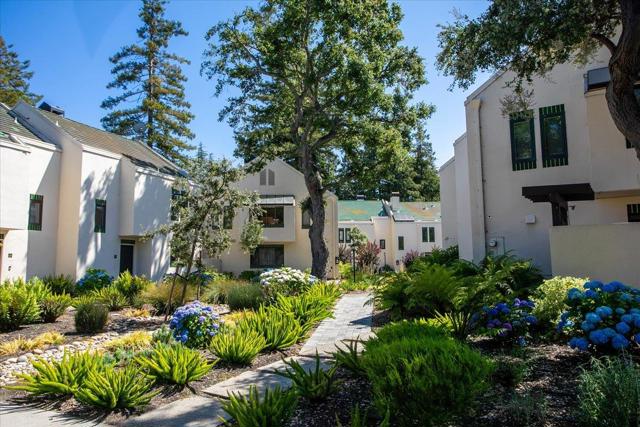 181 Centre Street, Mountain View CA: https://media.crmls.org/mediaz/cede9933-32b7-4f85-b1ad-c6df01e785f5.jpg