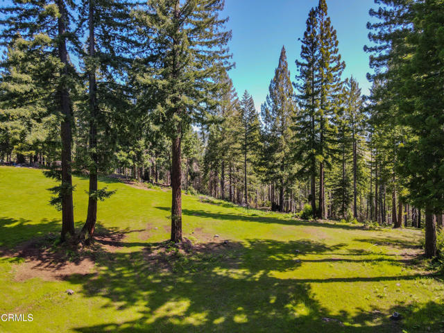 Detail Gallery Image 26 of 49 For 13740 Peregrine Rd, Boonville,  CA 95415 - – Beds | – Baths