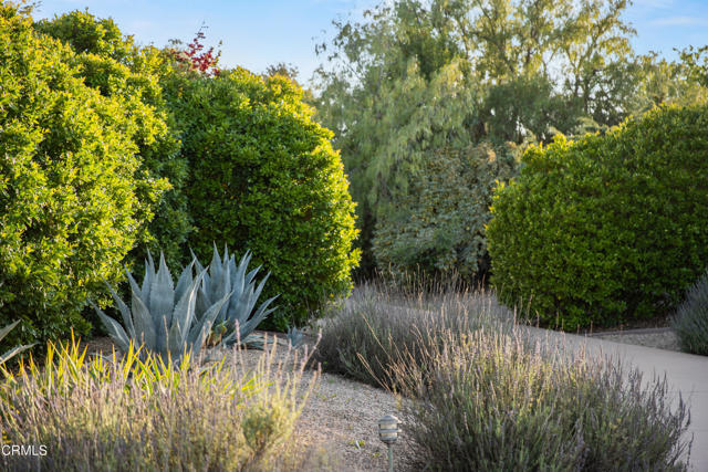 1270 Dove Meadow Road, Solvang CA: https://media.crmls.org/mediaz/cee79962-ace8-42a6-8290-97666ad8b31c.jpg