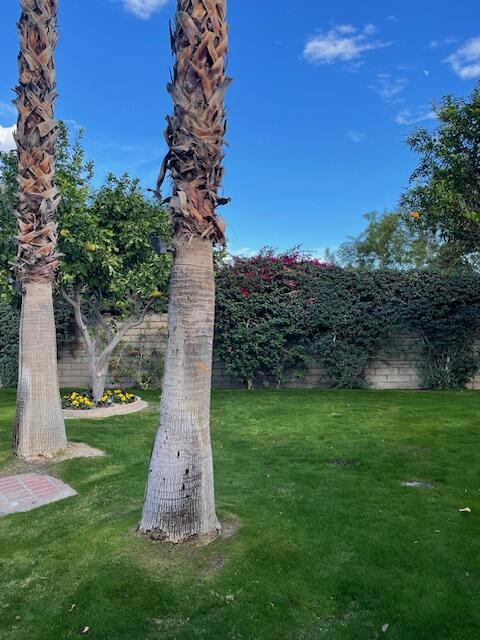 Image 6 of 9 For 69411 Ramon Road