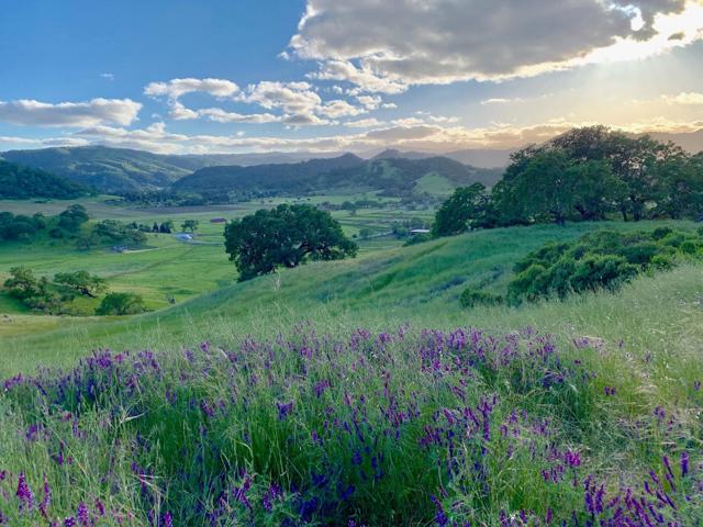 0 Hayes Lane, San Martin CA: https://media.crmls.org/mediaz/cef24f84-dfaf-4e59-91e2-bc6dbcdc57fa.jpg