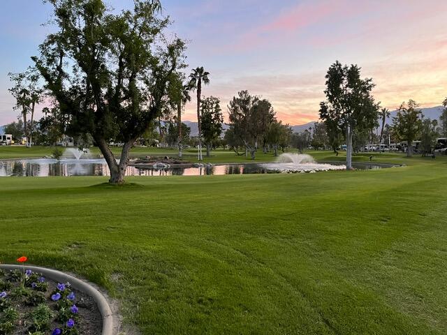 MLS #219130008DA image #9