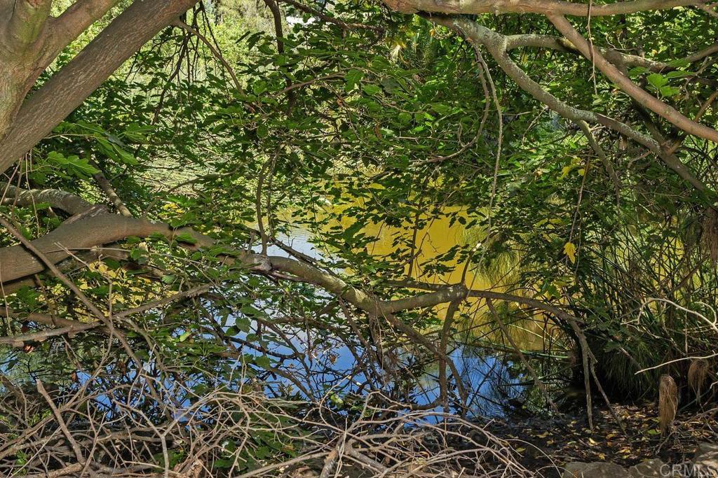 MLS #NDP2508054 image #8