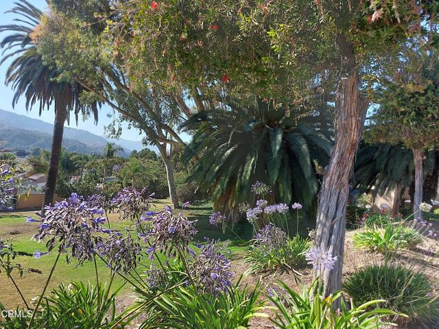 Green Belt- Landscaping