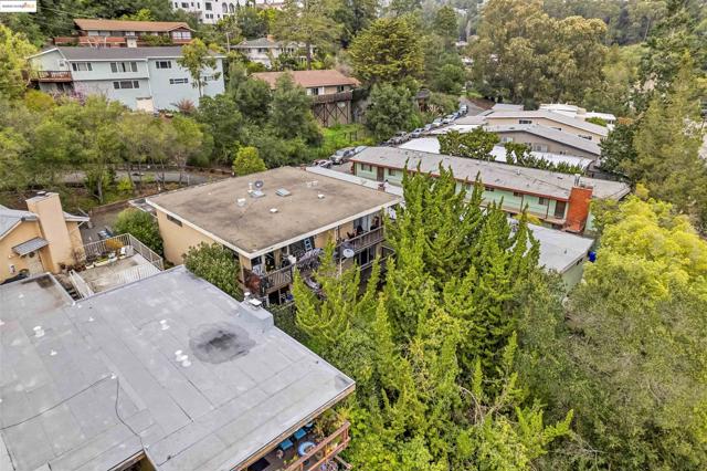 389 Somerset Rd, Piedmont CA: https://media.crmls.org/mediaz/cf08300e-1714-4d89-bf35-d55aba7ec884.jpg