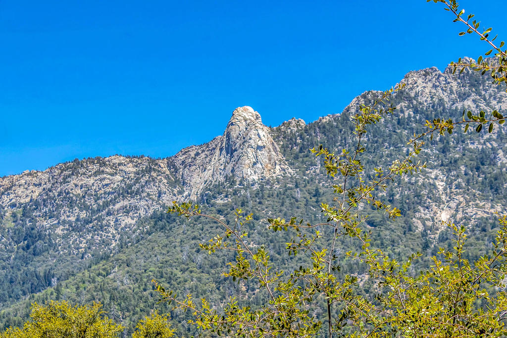 https://media.crmls.org/mediaz/cf0d3c5c-82e2-4f67-9688-55339bcd68c0.jpg?preset=X-Large