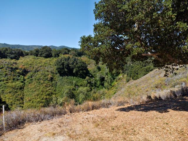 4 Holding Field Run, Carmel CA: https://media.crmls.org/mediaz/cf0e1d88-aa4b-4e1c-ae7f-4602a141c5c4.jpg