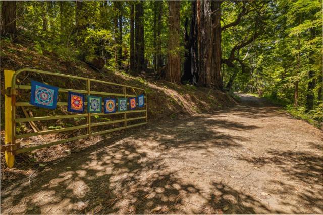 1 Wedwood Widge Way, Boulder Creek CA: https://media.crmls.org/mediaz/cf1b9c54-5e07-4ff4-90f1-462b26ad97da.jpg
