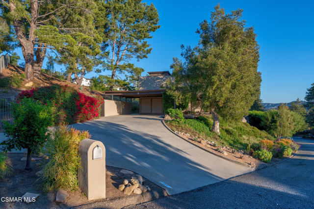 071_1430_camino_magenta_071