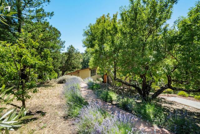 3773 Paul Sweet Road, Santa Cruz CA: https://media.crmls.org/mediaz/cf281a4d-0ebc-4776-8742-2c3ca76d3b1e.jpg