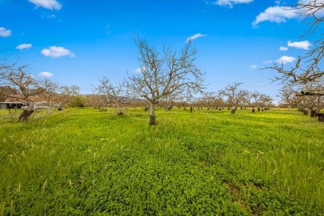 13755 Columbet Avenue, San Martin CA: https://media.crmls.org/mediaz/cf31098c-9cdd-43c6-9dc6-331011a01b0e.jpg