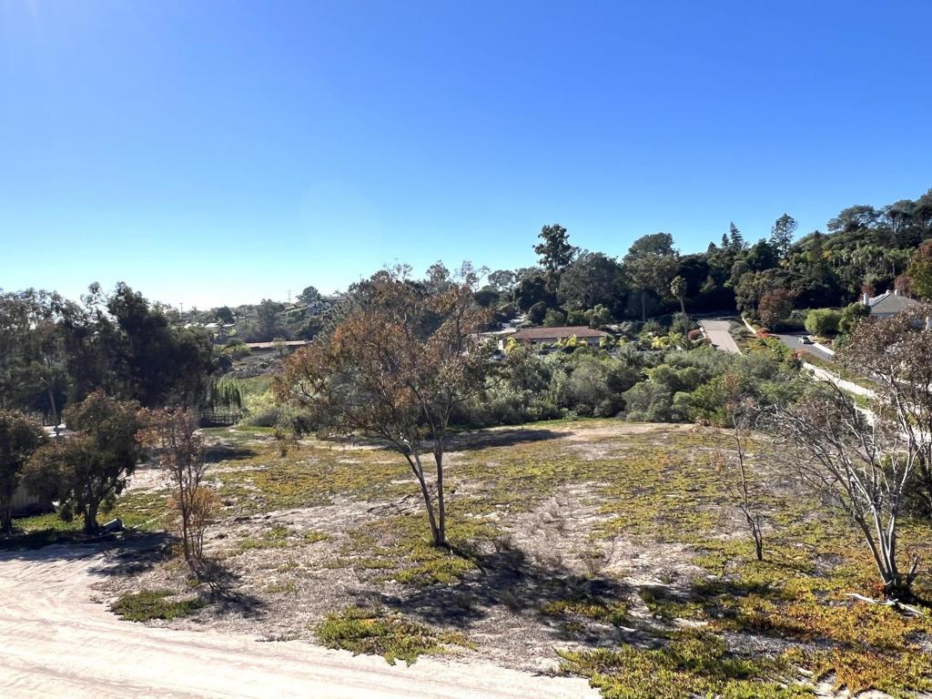 Mays Hollow Lane Encinitas - photo 4