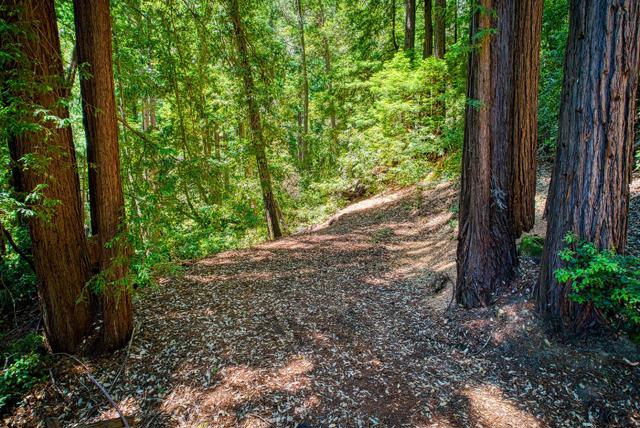 15998 Stetson Road, Los Gatos CA: https://media.crmls.org/mediaz/cf34cbc5-af40-4380-a3a3-c351957bdbd2.jpg