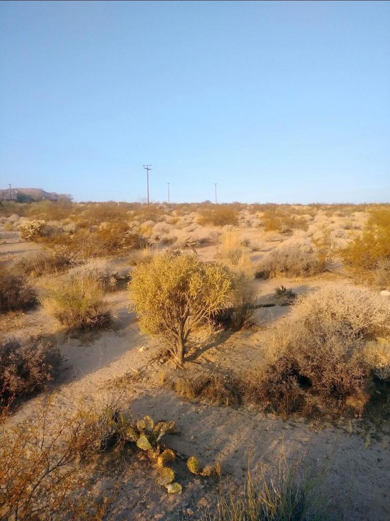 MLS #219137042PS image #19