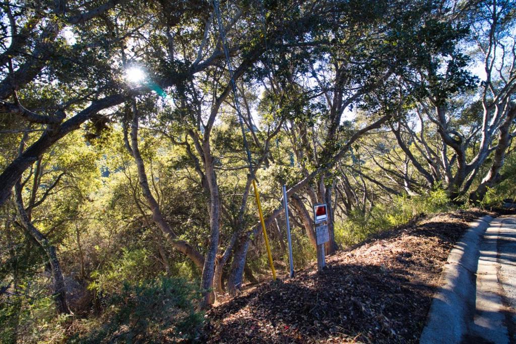 MLS #ML81985036 image #11