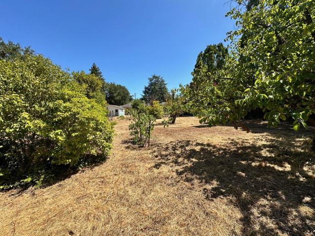399 Hawthorne Avenue, Los Altos CA: https://media.crmls.org/mediaz/cf4139f1-ea94-4141-a556-9ede24c6f701.jpg