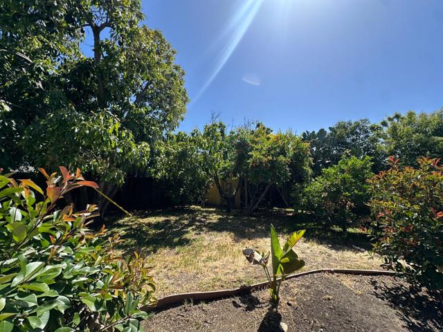 1417 Hampton Drive, Sunnyvale CA: https://media.crmls.org/mediaz/cf4abe6b-0cbb-4277-8545-bbcda4648125.jpg