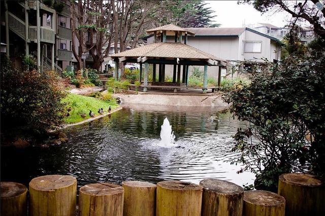 355 Half Moon Lane, Daly City CA: https://media.crmls.org/mediaz/cf50717e-0ed6-40e2-9dd9-ad595a8b2895.jpg