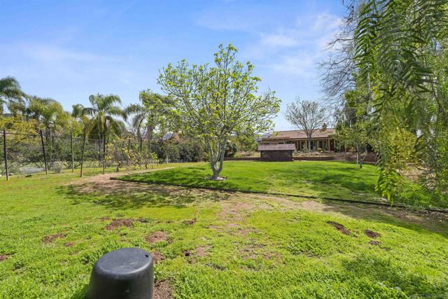 23527 Green Glen Road, Ramona CA: https://media.crmls.org/mediaz/cf521bcc-4da8-4417-b466-d2fd65385afc.jpg