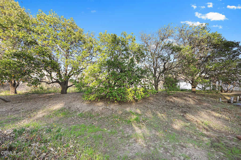 866 Lynnhaven LaneLa Canada Flintridge img 39