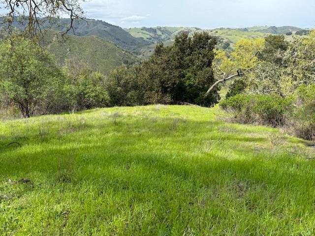 11 Little Uvas Road, Morgan Hill CA: https://media.crmls.org/mediaz/cf6057bf-77be-4d96-8087-fd248e689778.jpg