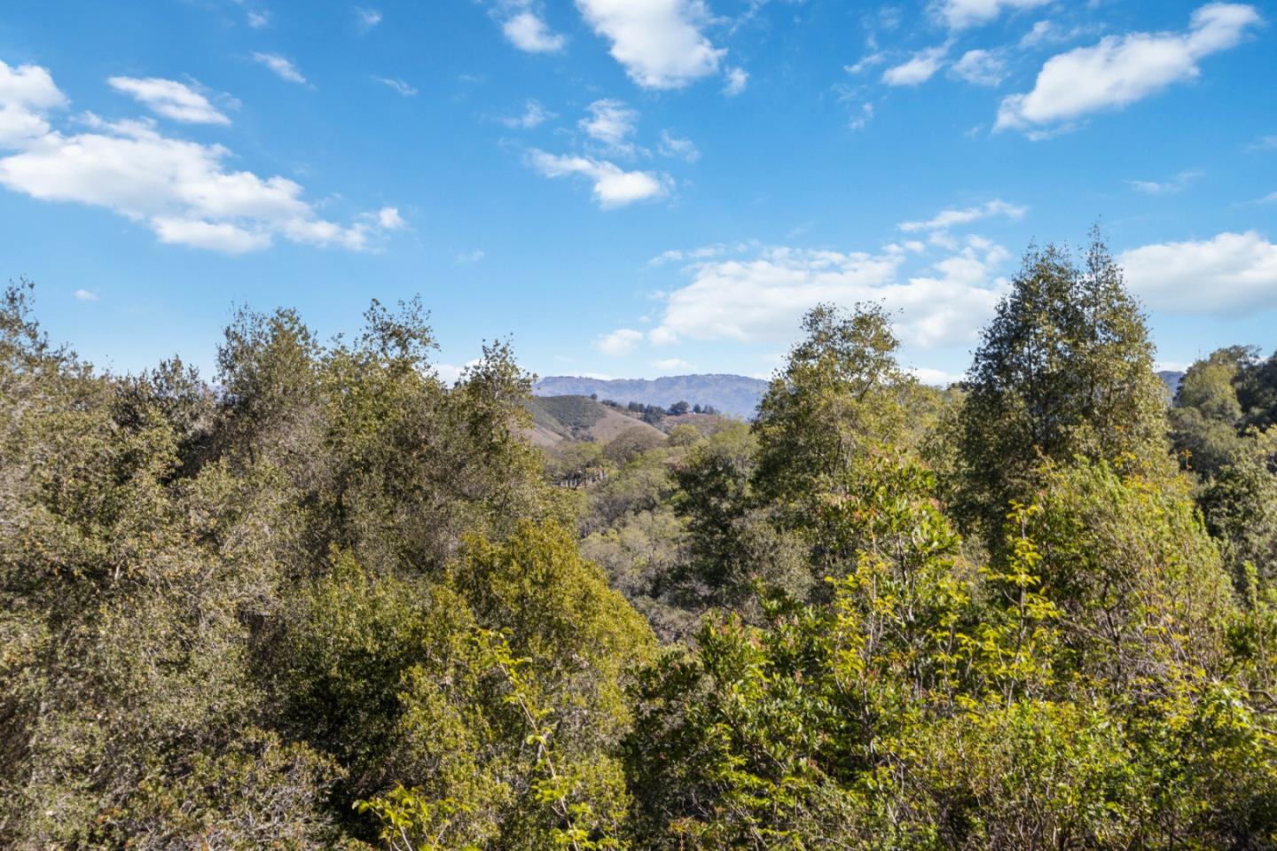 17465 Chesbro Lake Drive, Morgan Hill CA: https://media.crmls.org/mediaz/cf683487-4bee-4f0a-8b12-de25c96a52e7