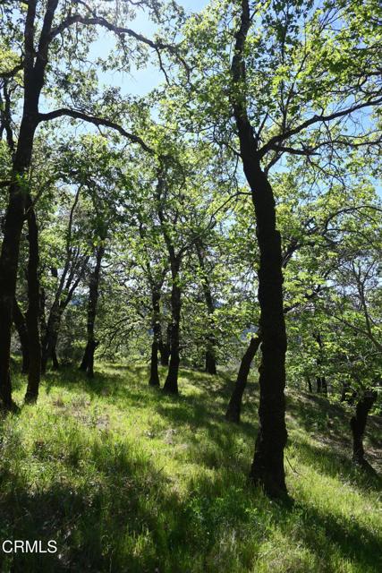 Detail Gallery Image 20 of 59 For 24051 Fig Tree Ln, Yorkville,  CA 95494 - – Beds | – Baths