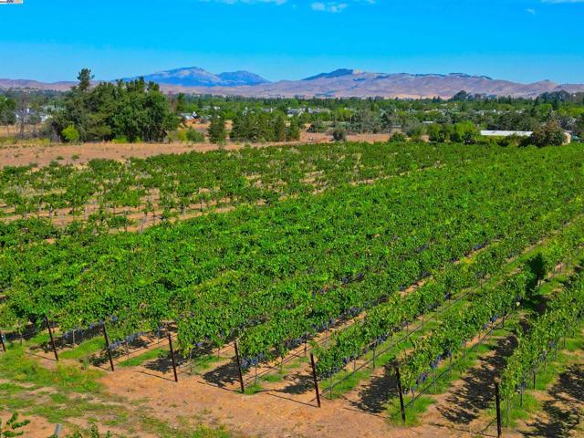 2915 S Vasco Rd, Livermore CA: https://media.crmls.org/mediaz/cf73e85f-dca7-4411-a1b9-310c3efeacd0.jpg