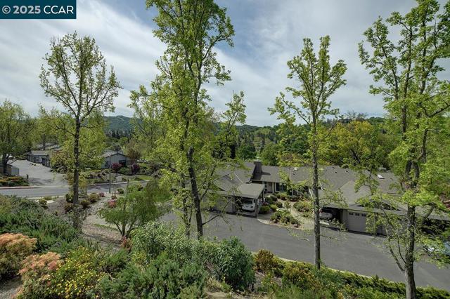 2175 Cactus Ct, Walnut Creek CA: https://media.crmls.org/mediaz/cf751e0b-fb17-4085-b01d-282aaa4e6b33.jpg