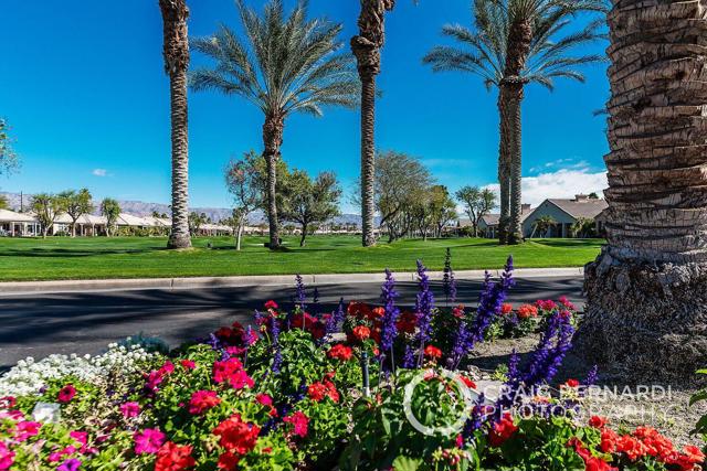 20220207235953039913000000-o