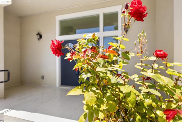5915 Balboa Dr, Oakland CA: https://media.crmls.org/mediaz/cf7a06fd-a5f4-4cff-91a6-d748d60df613.jpg