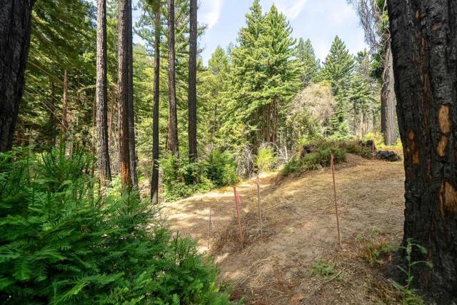 1035 Rambling Road, Boulder Creek CA: https://media.crmls.org/mediaz/cf80371c-f019-4ee7-a949-9dbe03d58c10.jpg