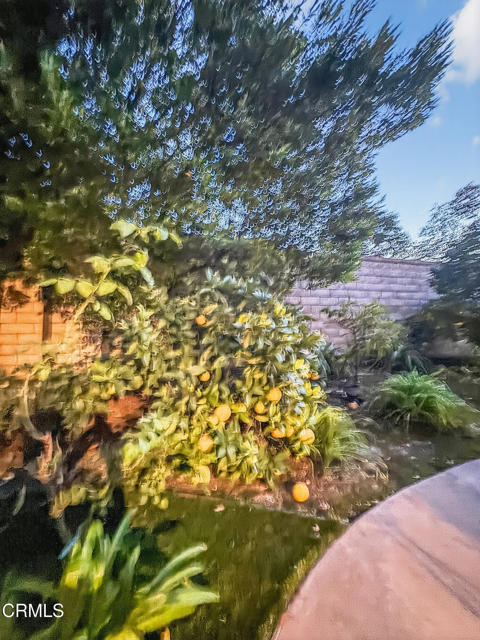 Detail Gallery Image 26 of 29 For 1399 Cordova Ct, Camarillo,  CA 93010 - 4 Beds | 3 Baths