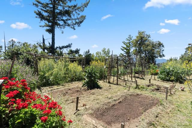 1495 Dons Road, Boulder Creek CA: https://media.crmls.org/mediaz/cf892fb9-f08a-4f82-b6c9-f6d0752da8db.jpg