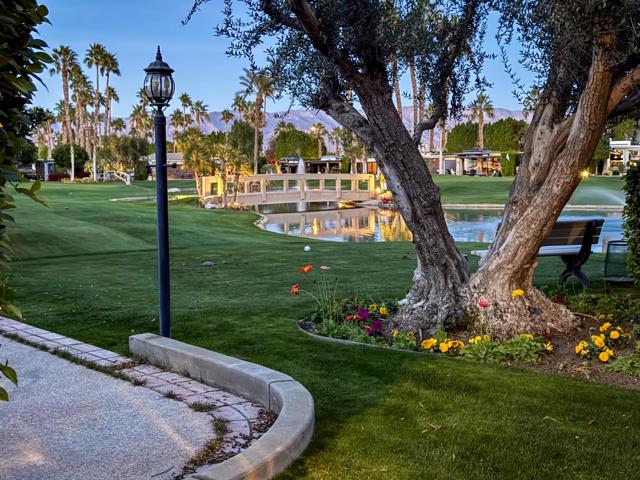 80394 Avenue 48, Indio CA: https://media.crmls.org/mediaz/cf897978-c53a-41a4-9d91-e076879d9b9d.jpg