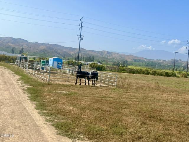 13717 W Telegraph Road, Santa Paula CA: https://media.crmls.org/mediaz/cf8b34db-c233-431a-86cd-c4cba9c3dd30.jpg