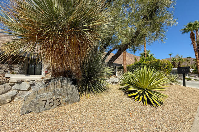783 N Rose Avenue, Palm Springs CA: https://media.crmls.org/mediaz/cf9c63d1-1c5a-4c33-92a5-c094233d8c9b.jpg
