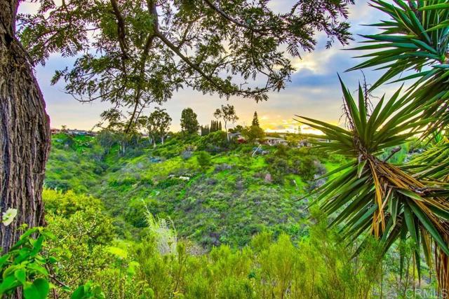 Detail Gallery Image 60 of 62 For 5484 Redding Rd, San Diego,  CA 92115 - 3 Beds | 2/1 Baths