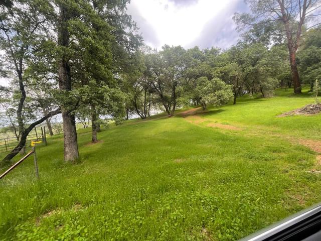 0 Avacado Road, Oroville CA: https://media.crmls.org/mediaz/cfa87f00-08ef-494d-8f4d-9f551e2dd7e0.jpg