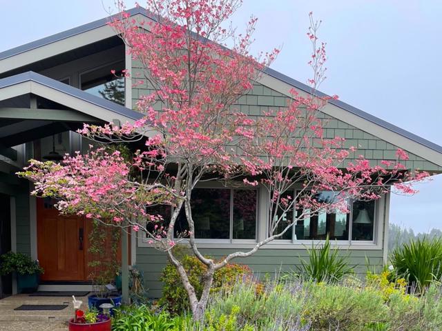 1584 Tindall Ranch Road, Corralitos CA: https://media.crmls.org/mediaz/cfadd118-1db9-4760-afc7-60bd49ef4e47.jpg