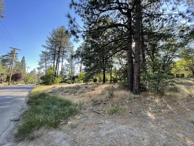 Image 2 for 0 Pinecrest Ave, Idyllwild, CA 92549