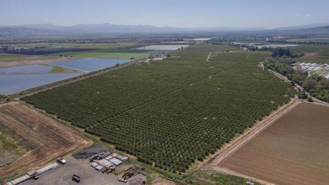 275 Bolsa Road, Gilroy CA: https://media.crmls.org/mediaz/cfb69c37-7859-40af-a417-4463b125d102.jpg