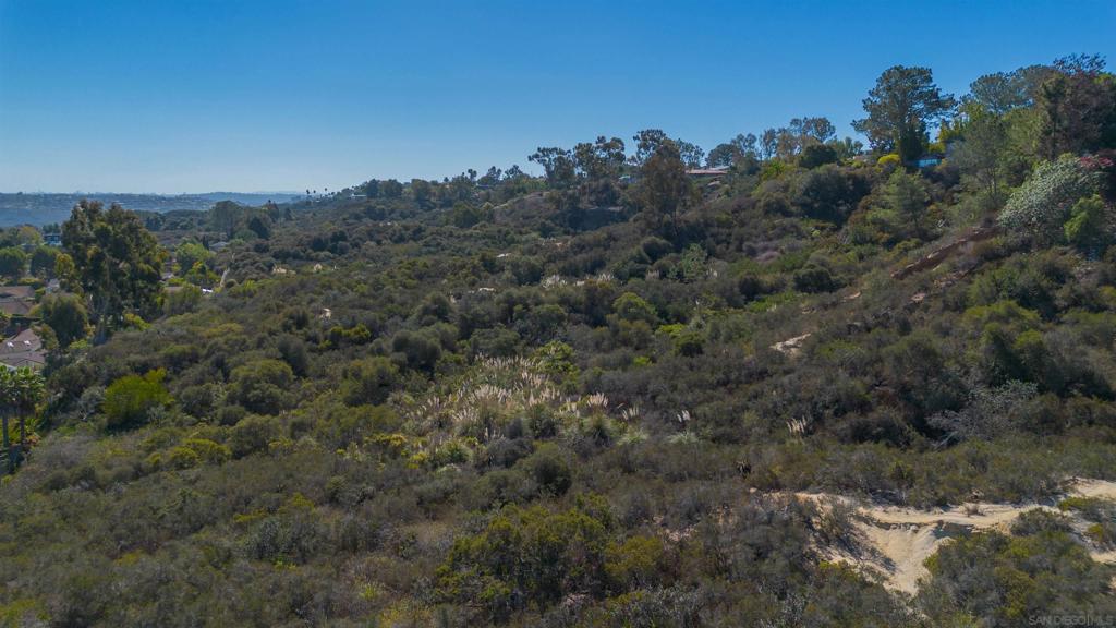 Crest Dr Encinitas - photo 5
